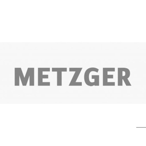 Ladeluftschlauch für BMW - METZGER 2400330
