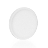 Filterplatte mit 1. Glasrand - Ø 50 mm, Porosität 4